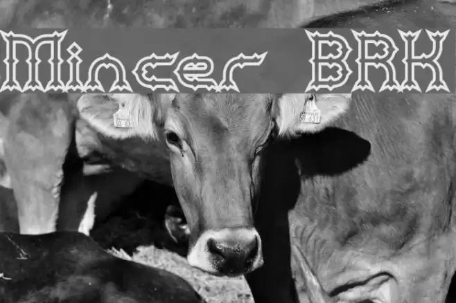 Mincer BRK Font examples
