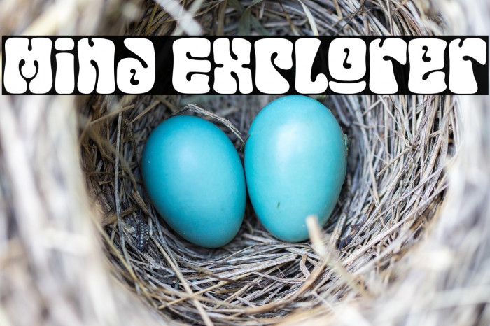 Mind Explorer Example 1