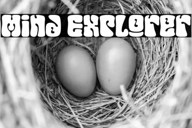 Mind Explorer Schriftart examples