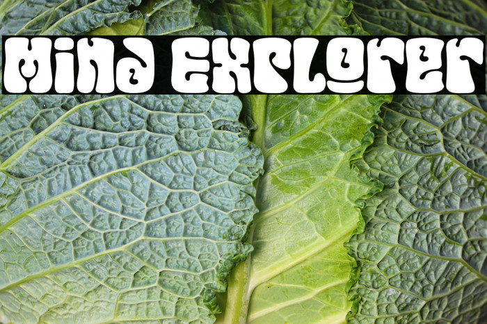 Mind Explorer Example 2