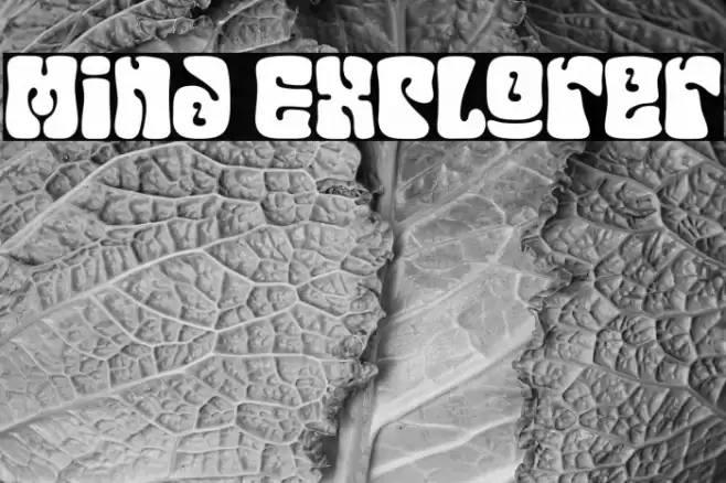 Mind Explorer Schriftart examples