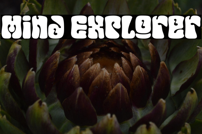 Mind Explorer Example 3