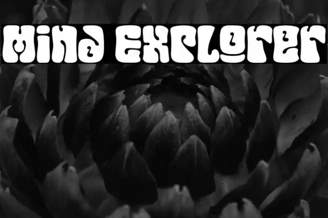 Mind Explorer Schriftart examples