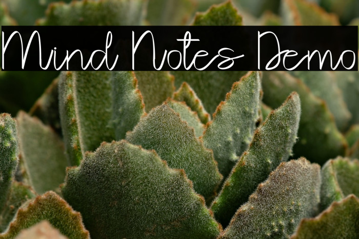 Mind Notes Demo Example 1