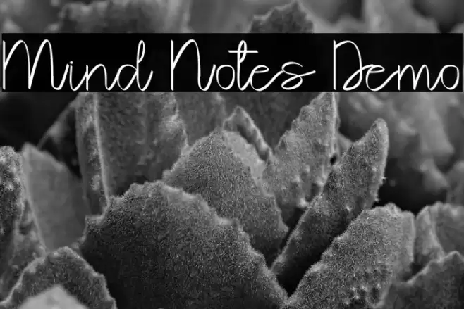 Mind Notes Demo Font examples