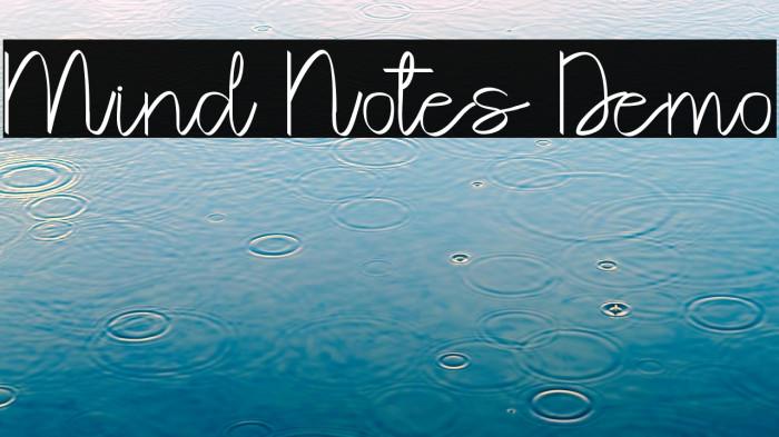 Mind Notes Demo Example 2