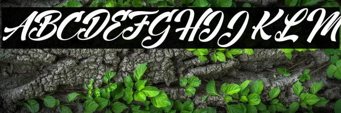 Mind Rescue Personal Use  Example 2