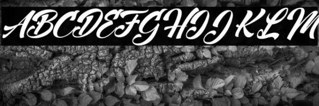 Mind Rescue Personal Use  Font examples