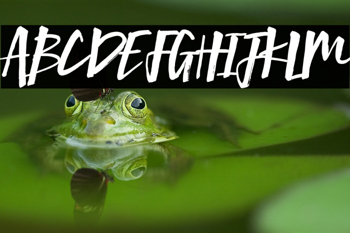 Mind Rush Font examples