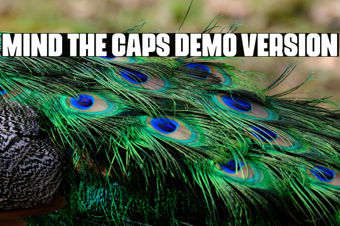 Mind The Caps DEMO VERSION Example 2