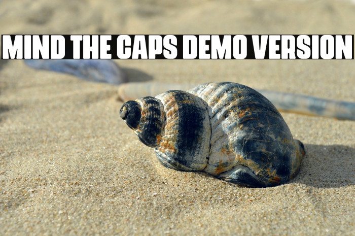 Mind The Caps DEMO VERSION Example 3