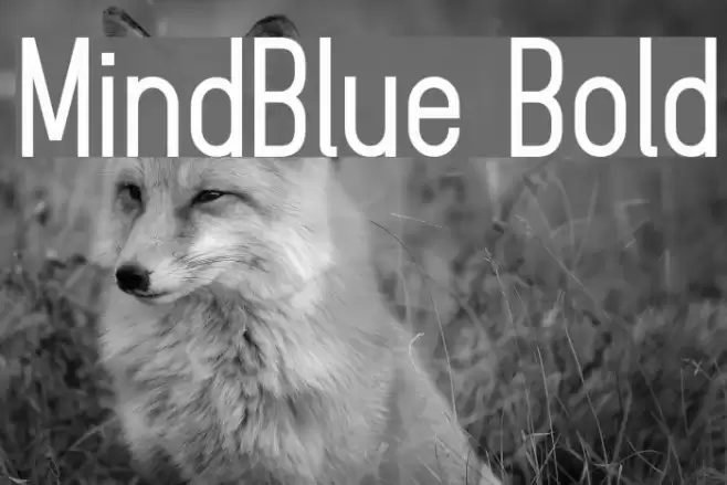 MindBlue Bold Font examples