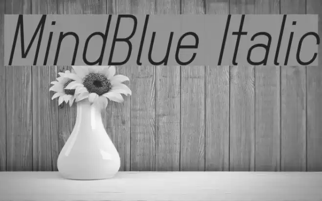 MindBlue Italic Font examples