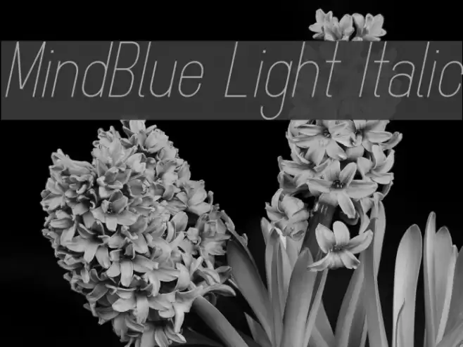 MindBlue Light Italic Font examples