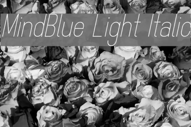 MindBlue Light Italic Font examples