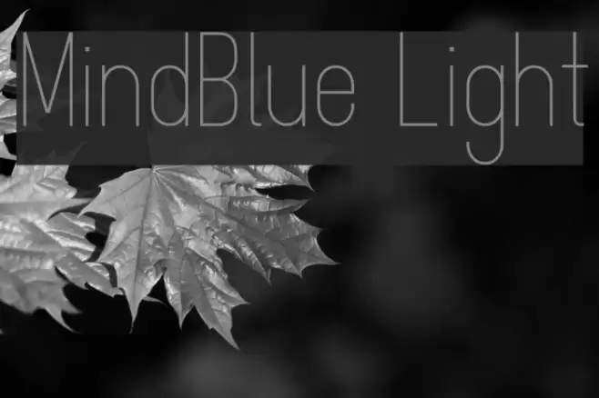 MindBlue Light Font examples