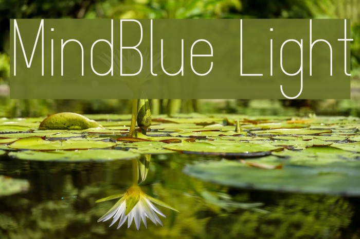 MindBlue Light Font examples