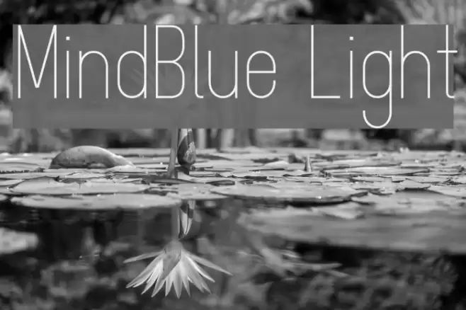 MindBlue Light Font examples