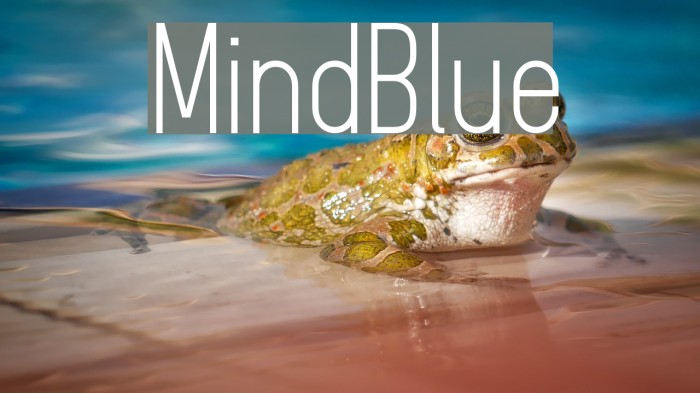 MindBlue Font examples