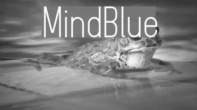 MindBlue Example 1