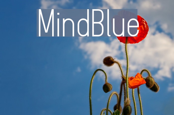 MindBlue Font examples