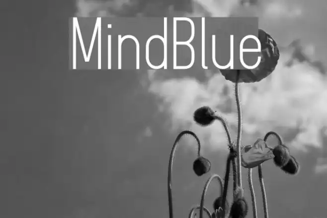 MindBlue Example 2