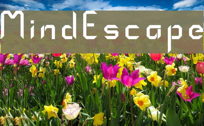 MindEscape Font examples