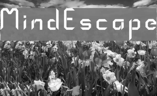 MindEscape Example 3