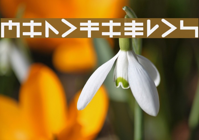 MindFields Font examples