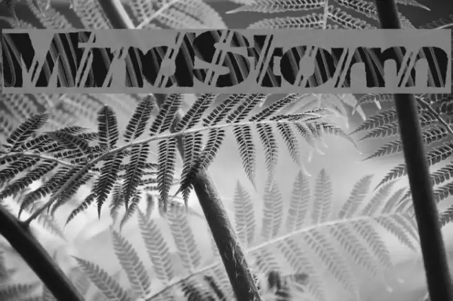 MindStorm Font examples