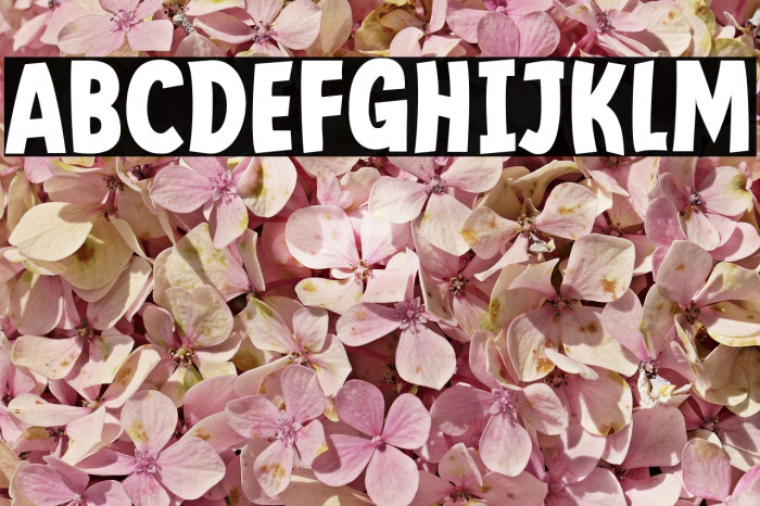 Mindflyers Bold Example 1