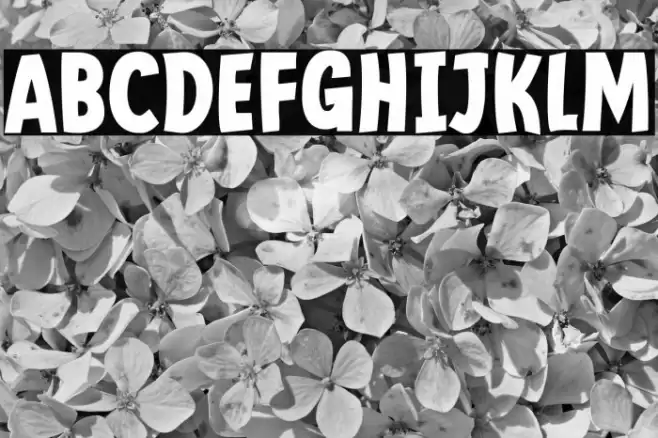 Mindflyers Bold Font examples