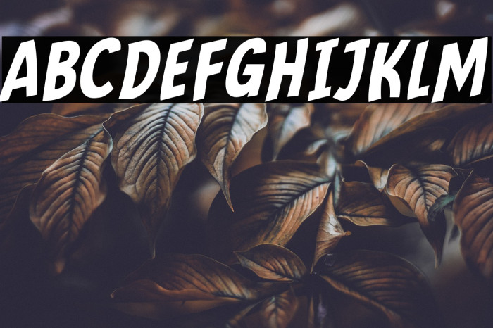 Mindflyers Comics Italic Example 1