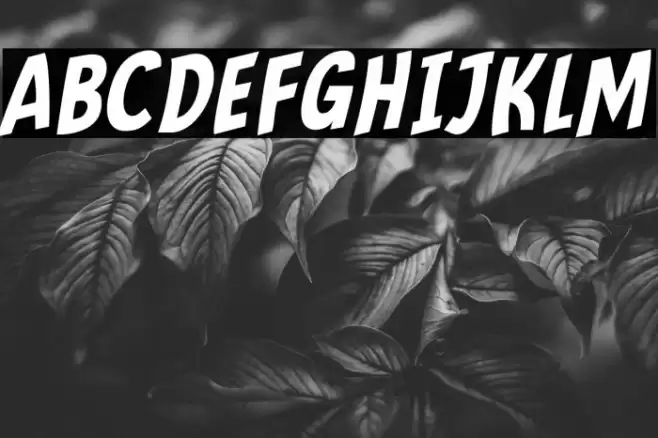 Mindflyers Comics Italic Font examples