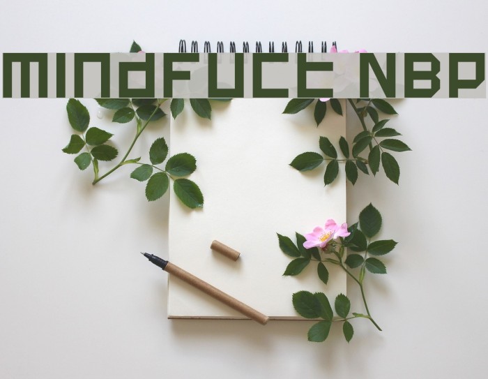 Mindfuct NBP Font examples