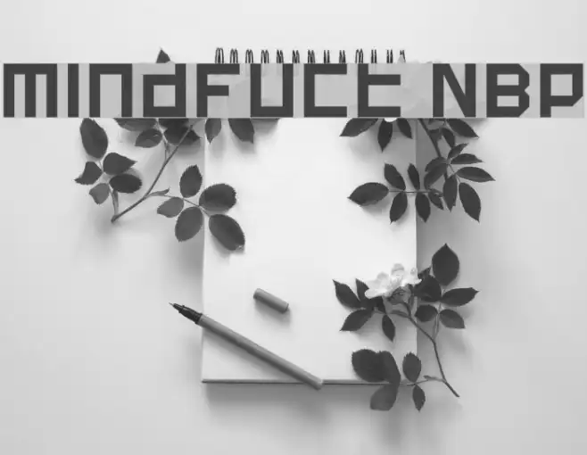 Mindfuct NBP Example 1