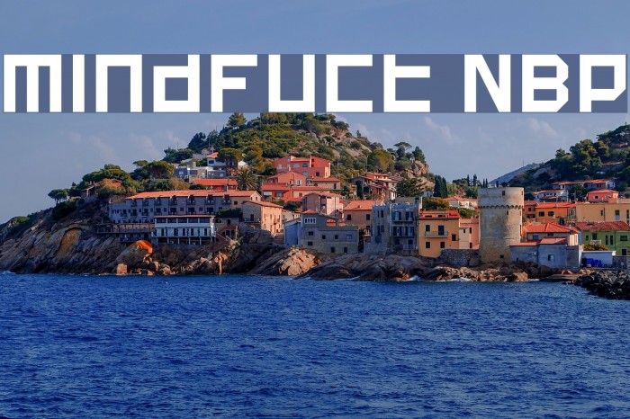 Mindfuct NBP Font examples