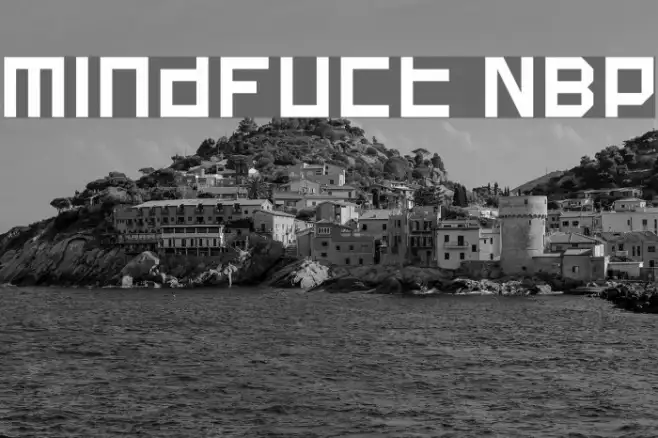 Mindfuct NBP Example 3