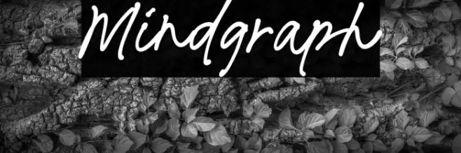 Mindgraph Example 1