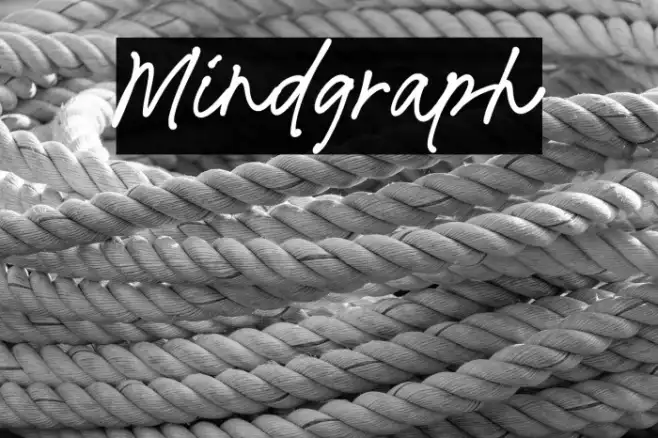 Mindgraph Example 2