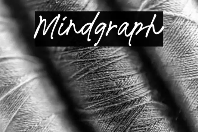 Mindgraph Example 3