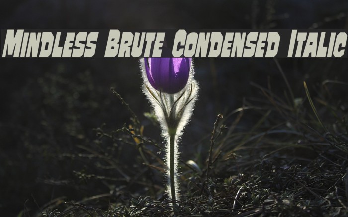 Mindless Brute Condensed Italic Font examples