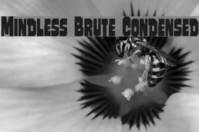 Mindless Brute Condensed Example 2