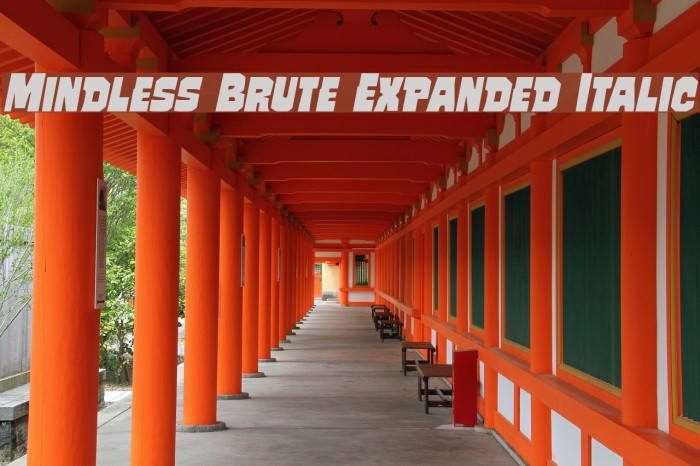 Mindless Brute Expanded Italic Font examples