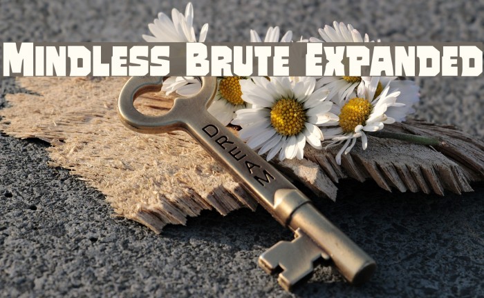 Mindless Brute Expanded Font examples