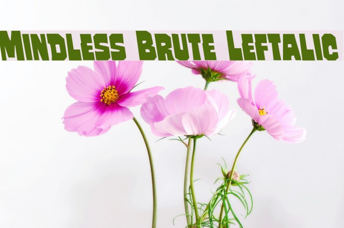 Mindless Brute Leftalic Example 2