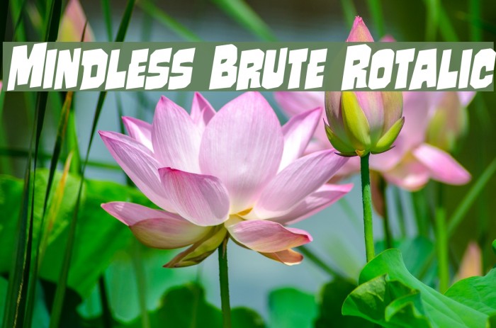 Mindless Brute Rotalic Font examples