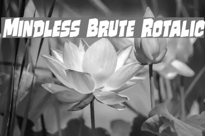 Mindless Brute Rotalic Example 1