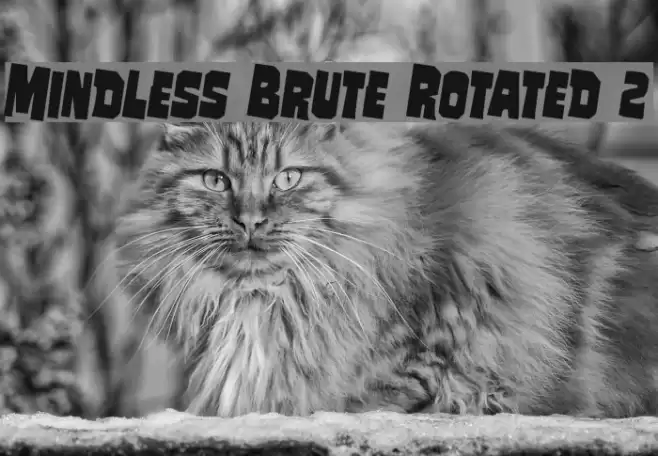 Mindless Brute Rotated 2 Font examples