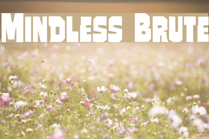 Mindless Brute Example 2